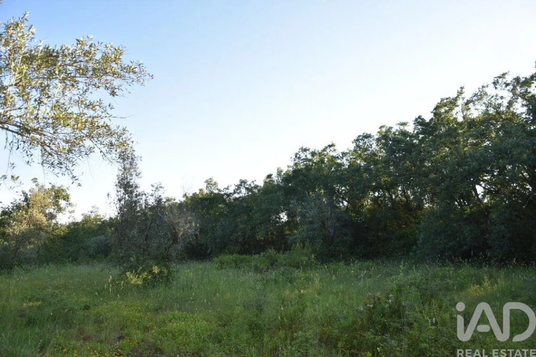 Terreno para Venda em Nossa Senhora do Pranto Foto 27