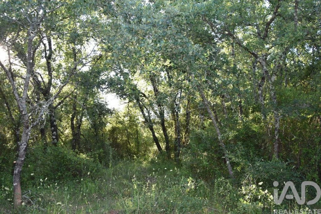 Terreno para Venda em Nossa Senhora do Pranto Foto 15