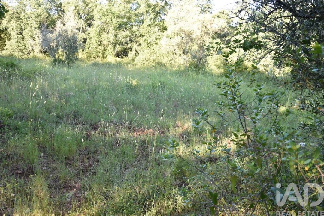 Terreno para Venda em Nossa Senhora do Pranto Foto 16