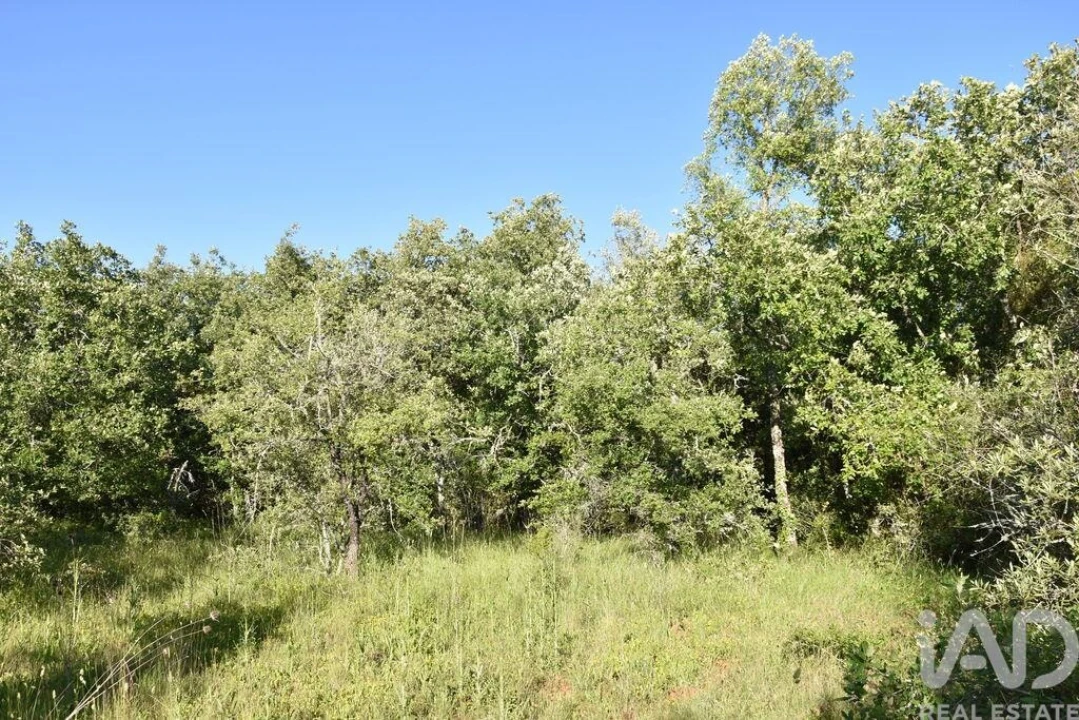 Terreno para Venda em Nossa Senhora do Pranto Foto 3