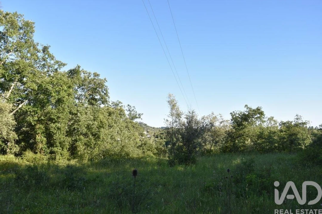 Terreno para Venda em Nossa Senhora do Pranto Foto 2