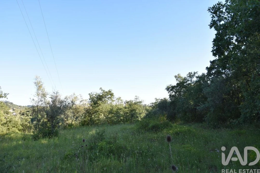 Terreno para Venda em Nossa Senhora do Pranto Foto 14