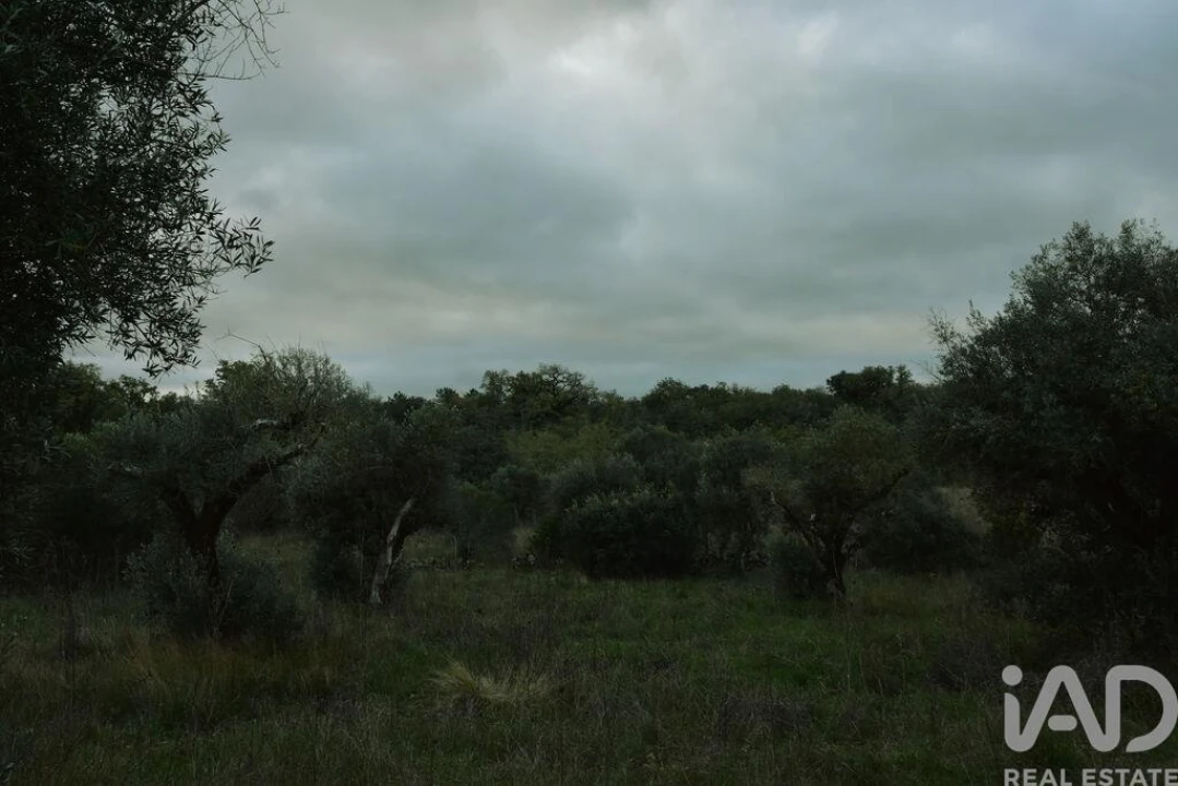 Terreno para Venda em Nossa Senhora do Pranto Foto 10