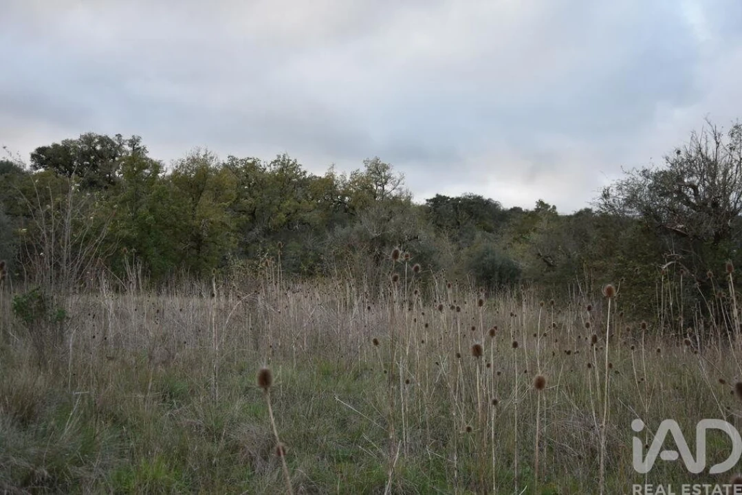 Terreno para Venda em Nossa Senhora do Pranto Foto 5