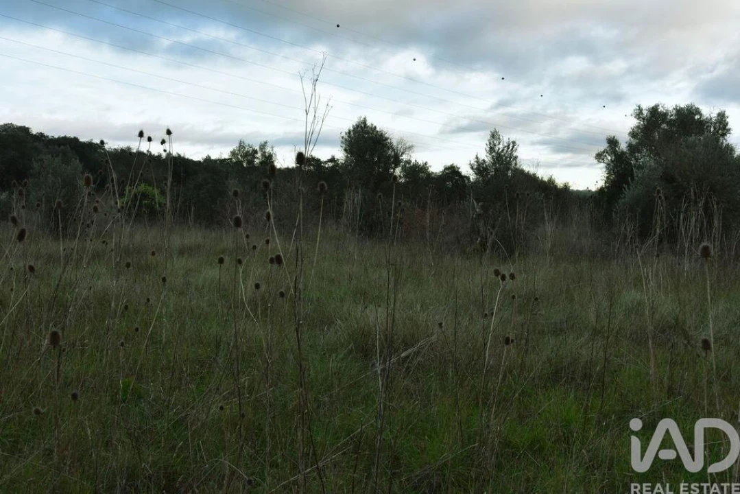 Terreno para Venda em Nossa Senhora do Pranto Foto 8