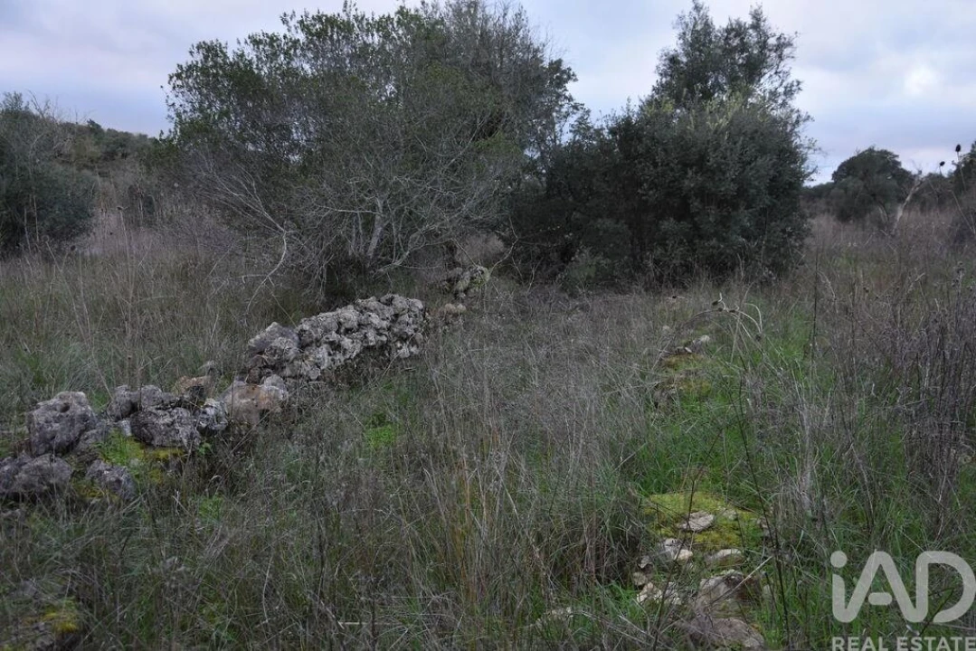 Terreno para Venda em Nossa Senhora do Pranto Foto 11