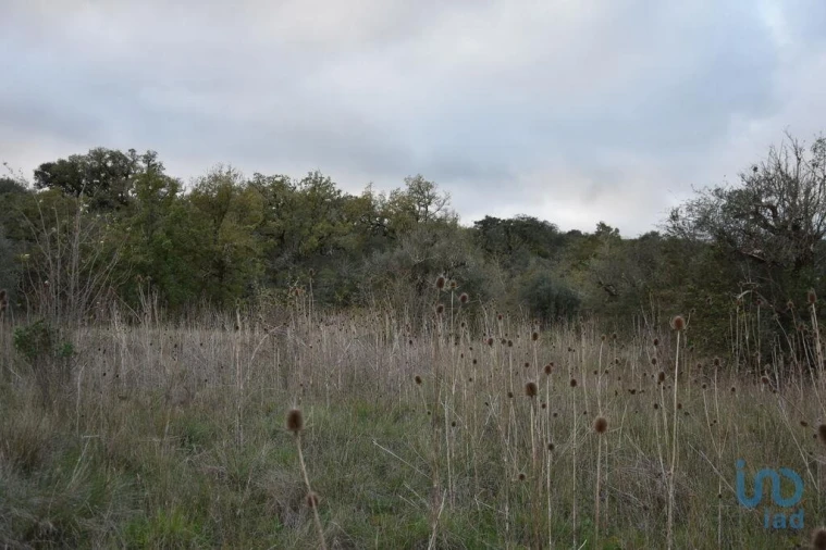 Terreno para Venda em Nossa Senhora do Pranto Foto 5