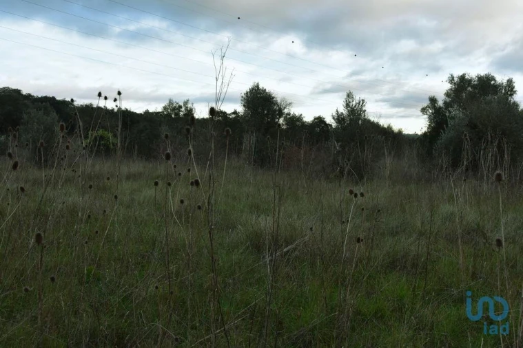 Terreno para Venda em Nossa Senhora do Pranto Foto 8