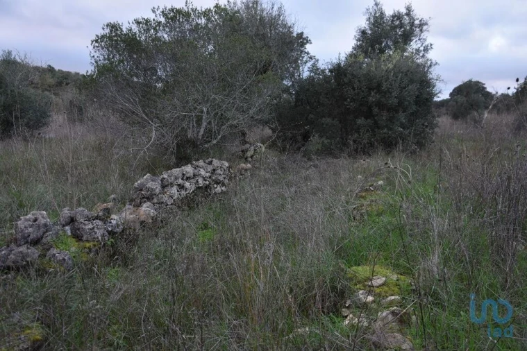 Terreno para Venda em Nossa Senhora do Pranto Foto 11