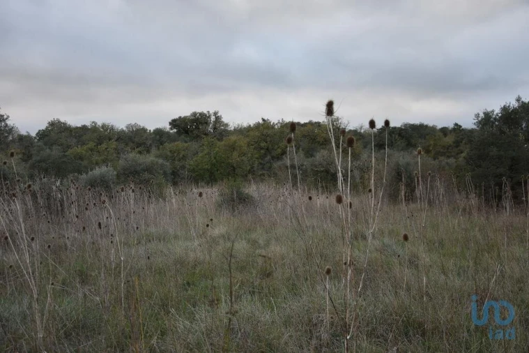 Terreno para Venda em Nossa Senhora do Pranto Foto 3