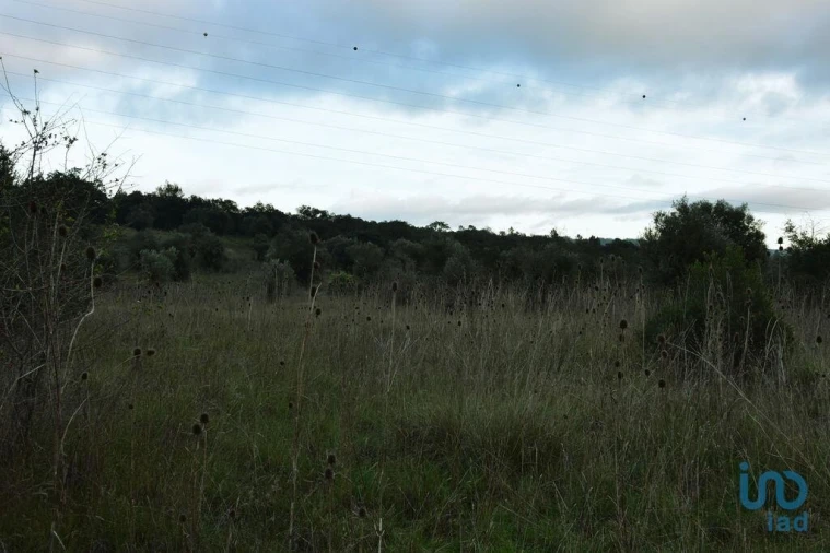 Terreno para Venda em Nossa Senhora do Pranto Foto 9