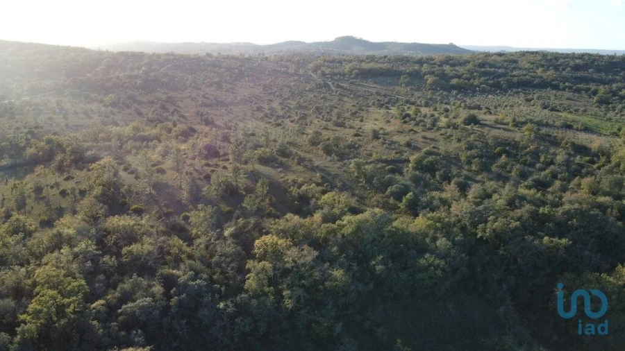 Terreno para Venda em Nossa Senhora do Pranto Foto 1