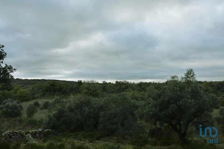 Terreno para Venda em Nossa Senhora do Pranto Foto 12