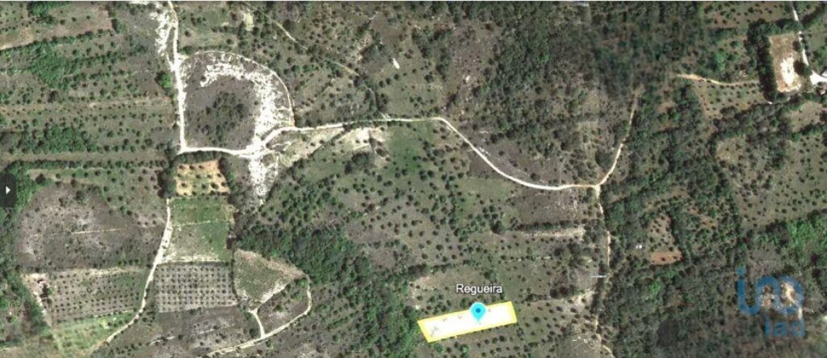 Terreno para Venda em Nossa Senhora do Pranto Foto 2