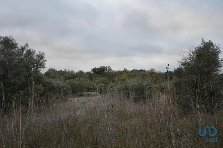 Terreno para Venda em Nossa Senhora do Pranto Foto 7