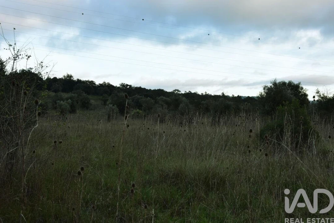 Terreno para Venda em Nossa Senhora do Pranto Foto 9