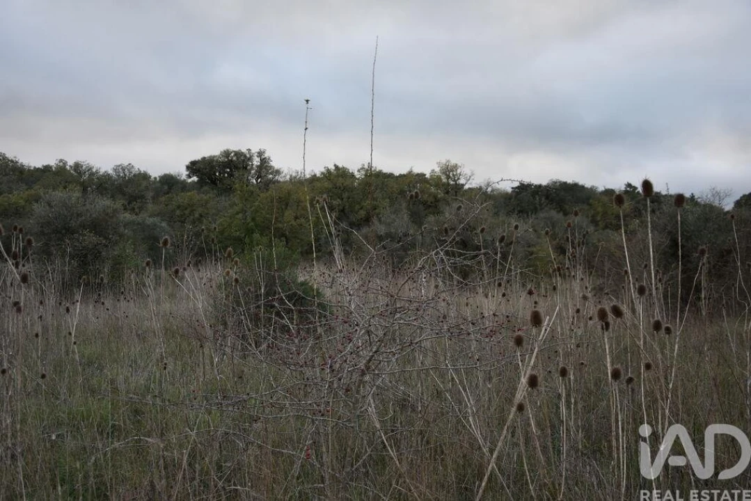 Terreno para Venda em Nossa Senhora do Pranto Foto 6