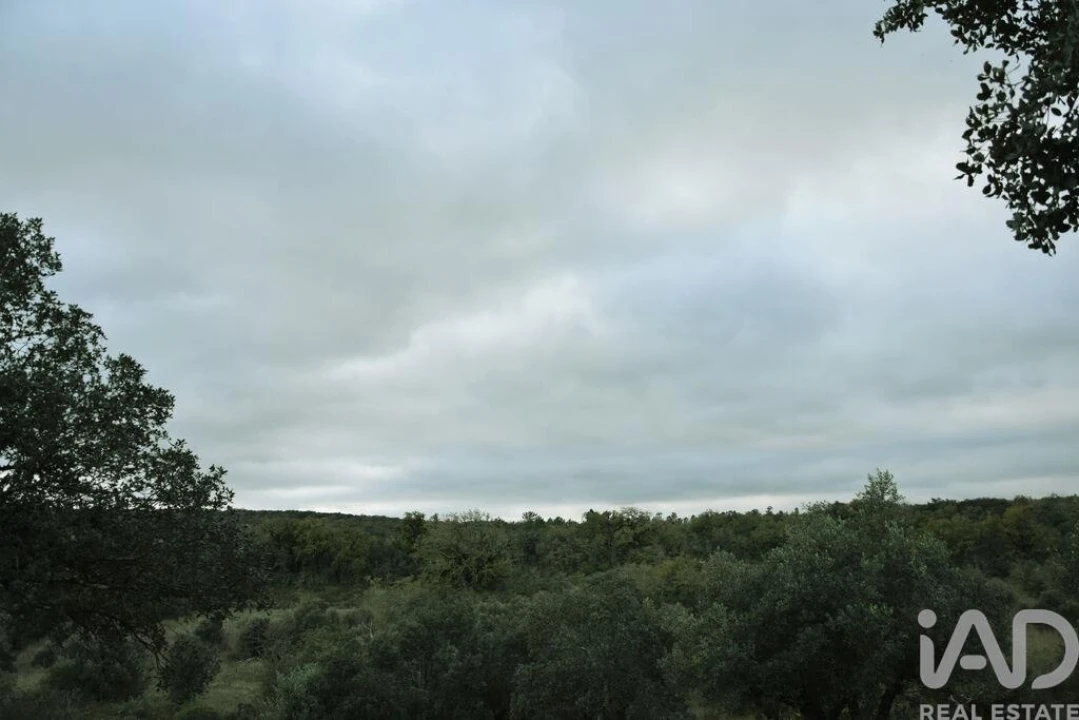Terreno para Venda em Nossa Senhora do Pranto Foto 13
