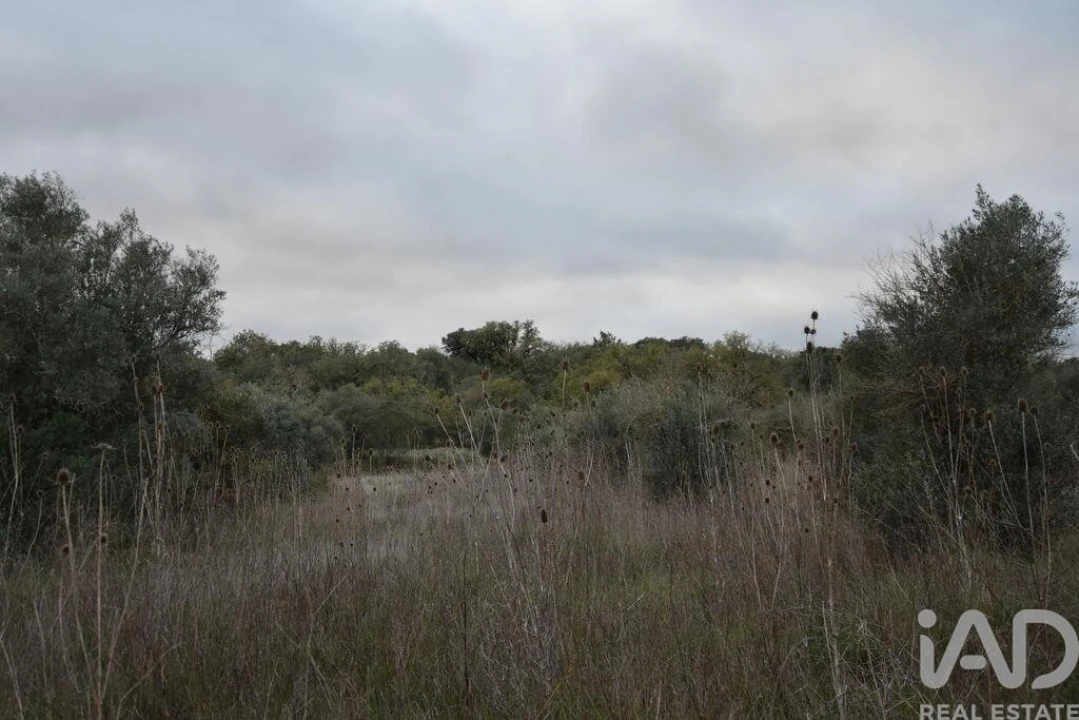 Terreno para Venda em Nossa Senhora do Pranto Foto 7