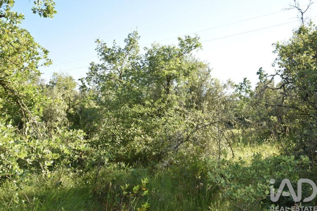 Terreno para Venda em Nossa Senhora do Pranto Foto 27