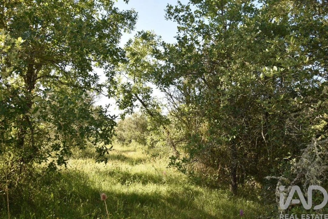 Terreno para Venda em Nossa Senhora do Pranto Foto 2