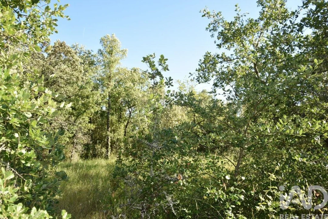 Terreno para Venda em Nossa Senhora do Pranto Foto 28