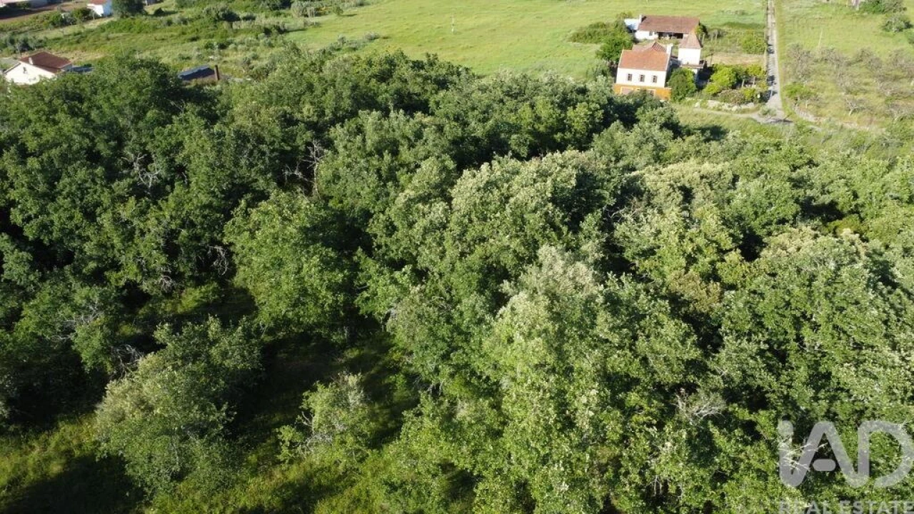 Terreno para Venda em Nossa Senhora do Pranto Foto 7