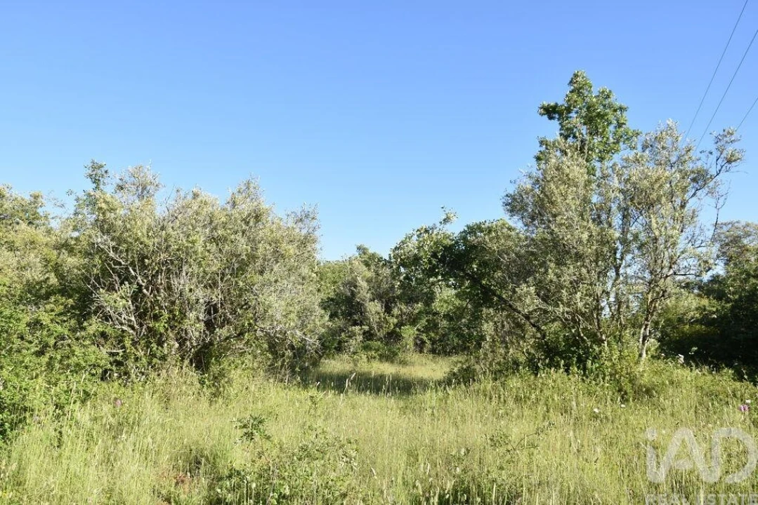 Terreno para Venda em Nossa Senhora do Pranto Foto 16