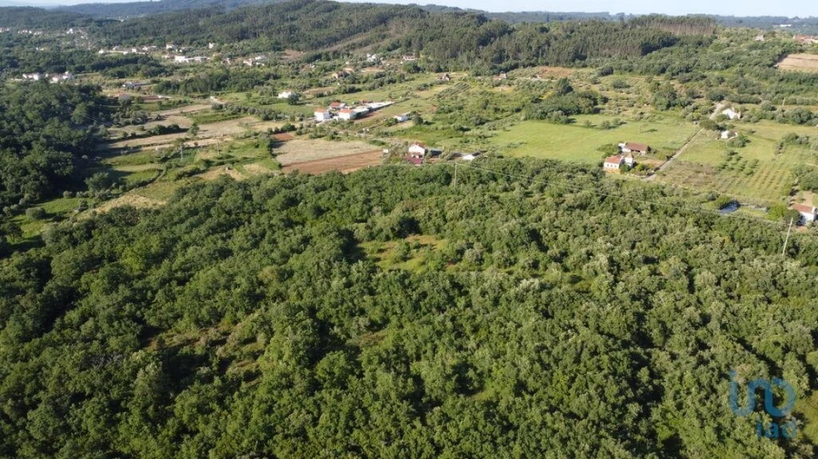Terreno para Venda em Nossa Senhora do Pranto Foto 4