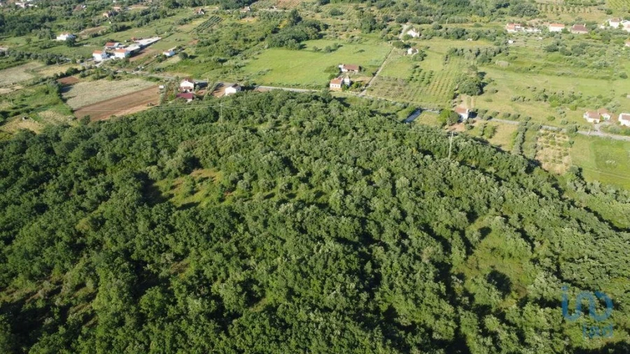 Terreno para Venda em Nossa Senhora do Pranto Foto 5
