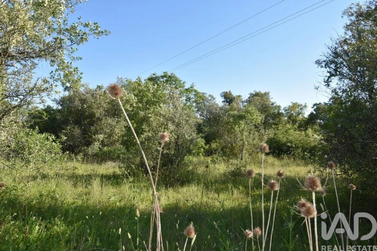 Terreno para Venda em Nossa Senhora do Pranto Foto 18