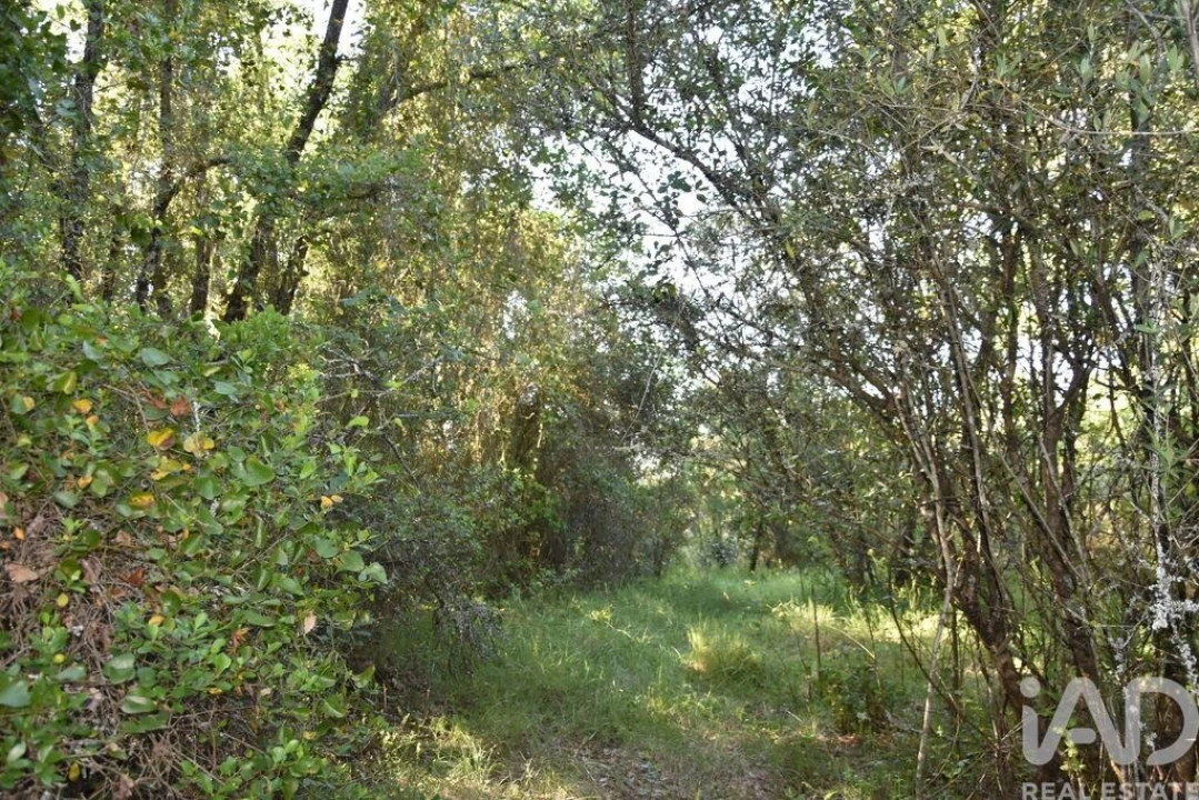 Terreno para Venda em Nossa Senhora do Pranto Foto 21