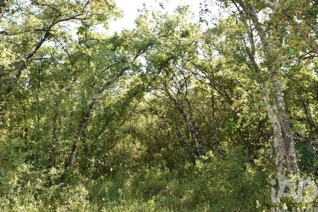 Terreno para Venda em Nossa Senhora do Pranto Foto 3