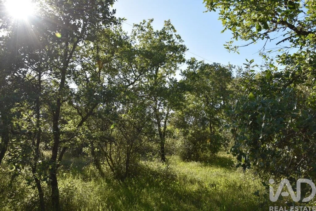 Terreno para Venda em Nossa Senhora do Pranto Foto 8