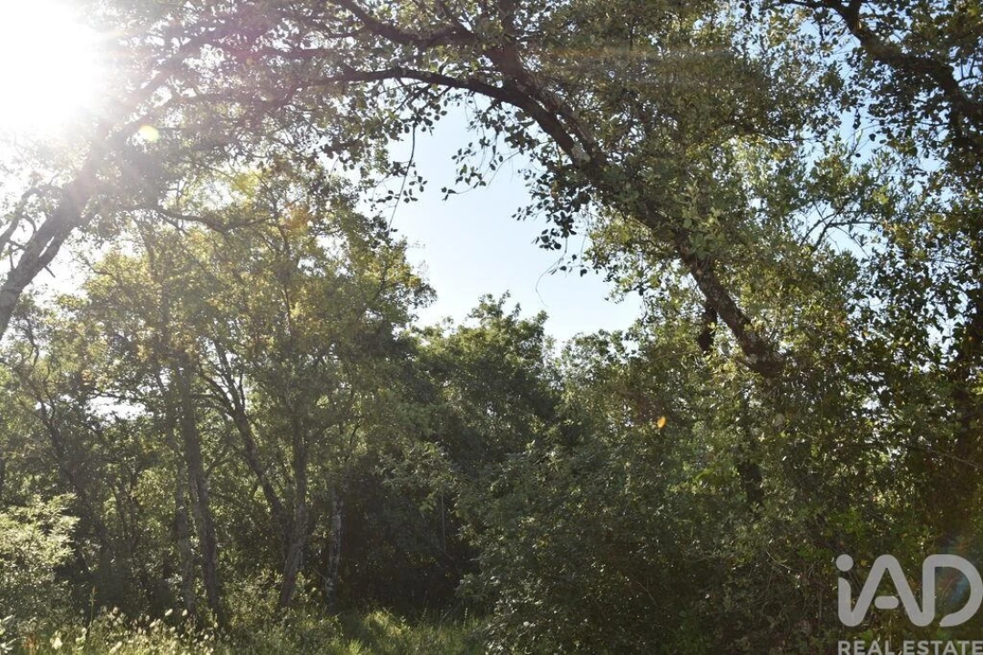Terreno para Venda em Nossa Senhora do Pranto Foto 12