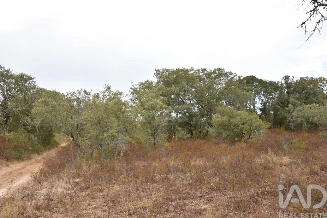 Terreno para Venda em Nossa Senhora do Pranto Foto 3