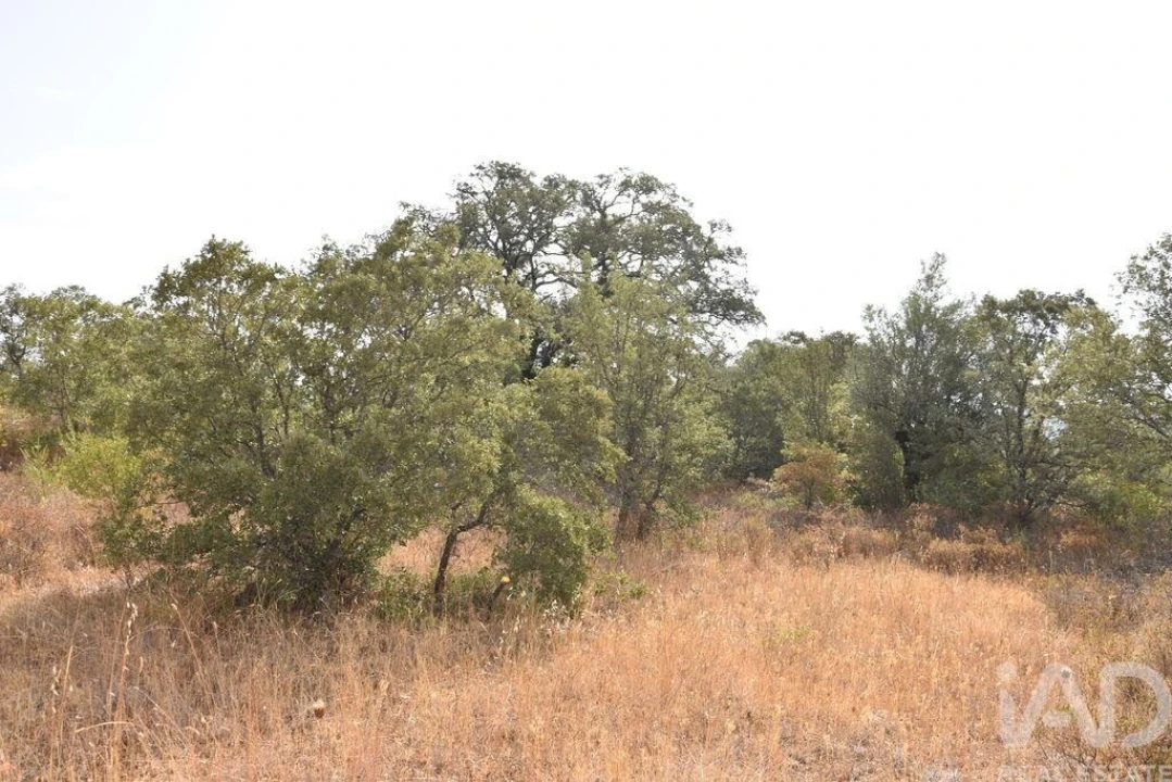Terreno para Venda em Nossa Senhora do Pranto Foto 7