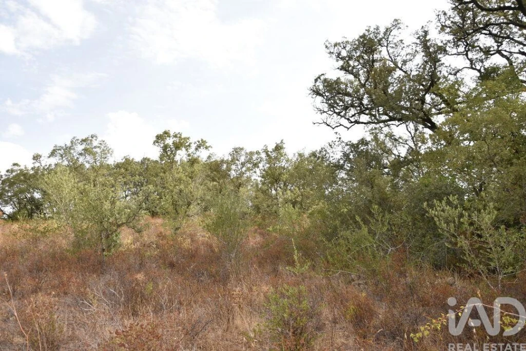 Terreno para Venda em Nossa Senhora do Pranto Foto 9