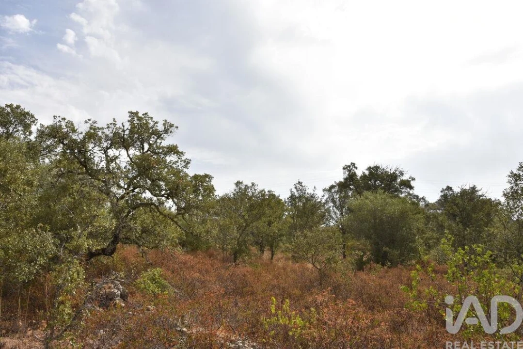 Terreno para Venda em Nossa Senhora do Pranto Foto 25
