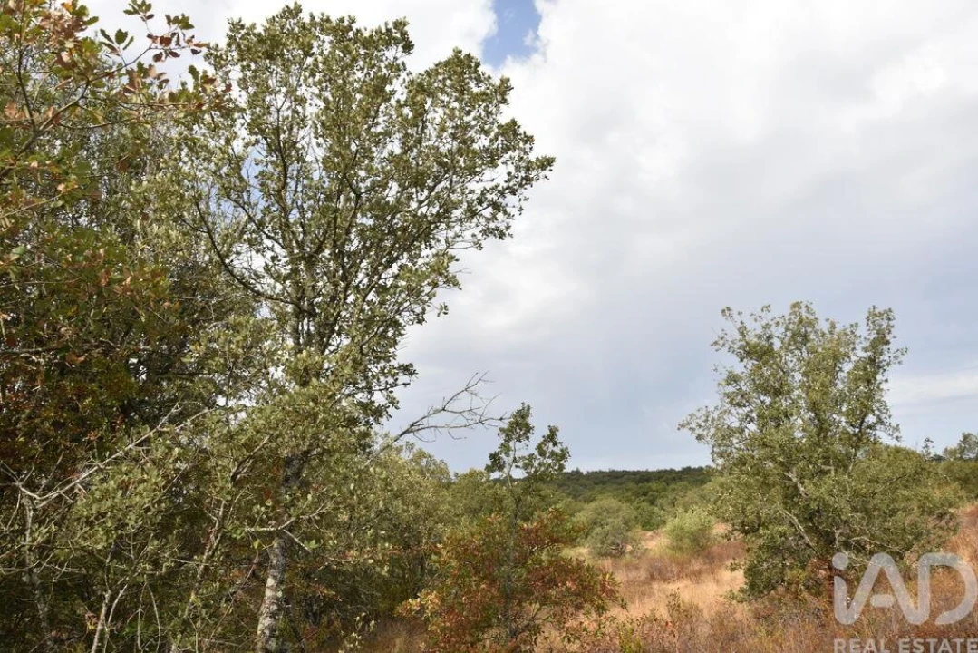 Terreno para Venda em Nossa Senhora do Pranto Foto 11