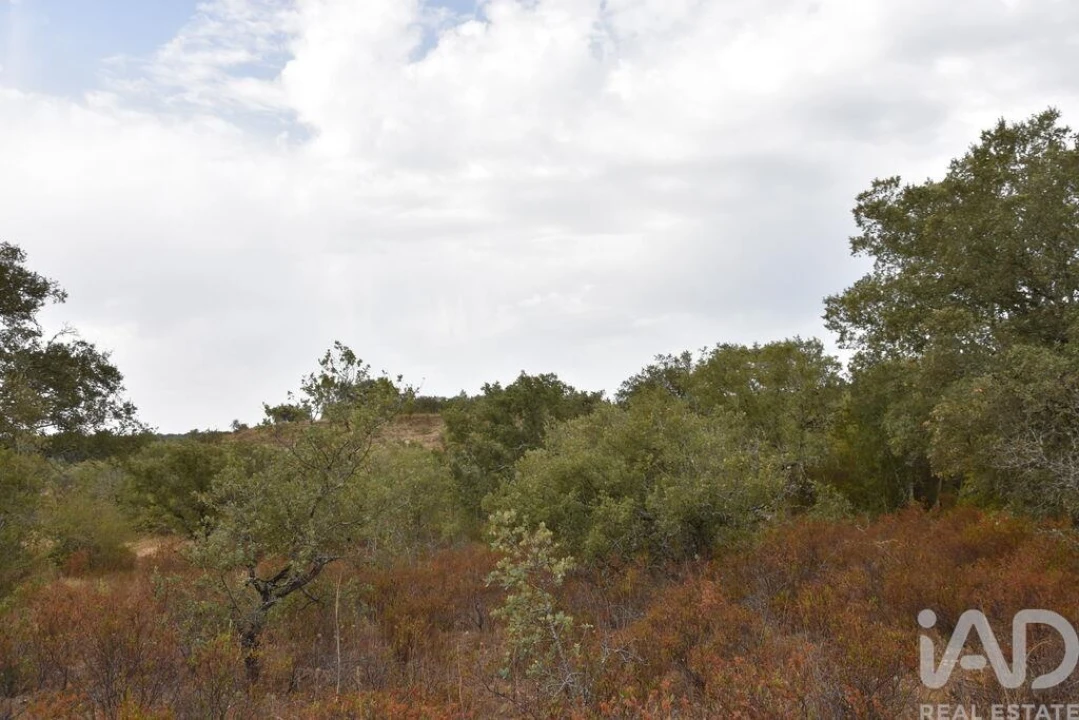 Terreno para Venda em Nossa Senhora do Pranto Foto 19