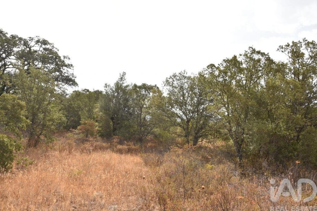 Terreno para Venda em Nossa Senhora do Pranto Foto 8