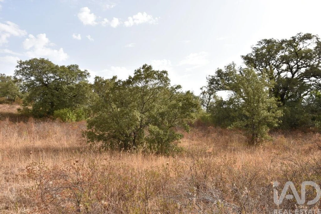 Terreno para Venda em Nossa Senhora do Pranto Foto 6