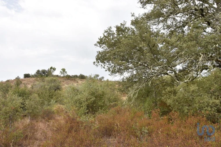 Terreno para Venda em Nossa Senhora do Pranto Foto 2
