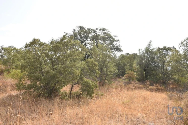 Terreno para Venda em Nossa Senhora do Pranto Foto 7