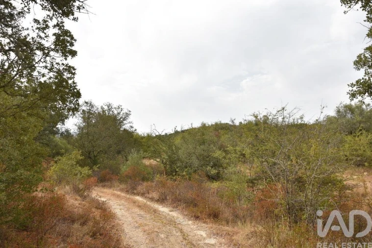 Terreno para Venda em Nossa Senhora do Pranto Foto 28