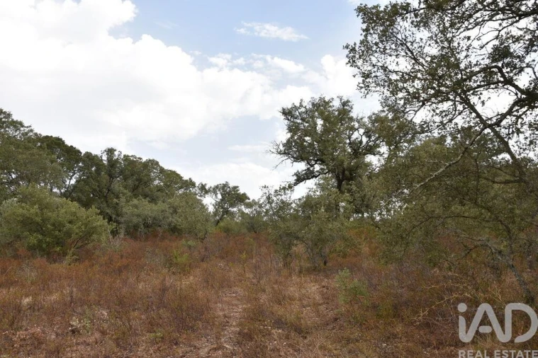 Terreno para Venda em Nossa Senhora do Pranto Foto 17