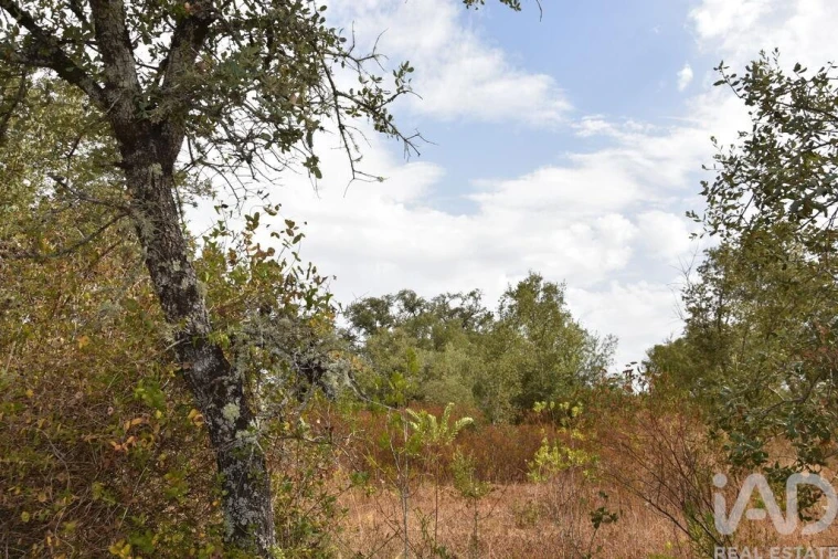 Terreno para Venda em Nossa Senhora do Pranto Foto 23