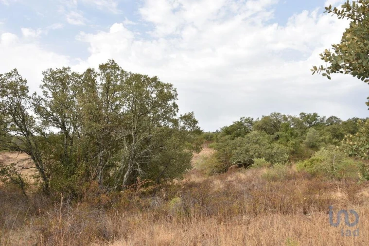 Terreno para Venda em Nossa Senhora do Pranto Foto 12