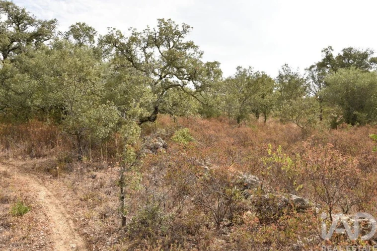 Terreno para Venda em Nossa Senhora do Pranto Foto 27